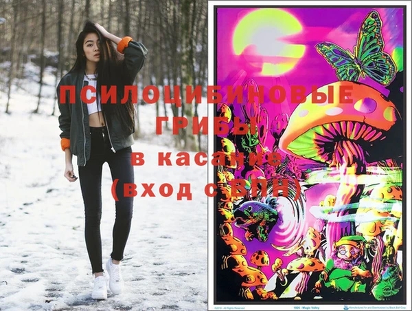 ALPHA PVP Беломорск