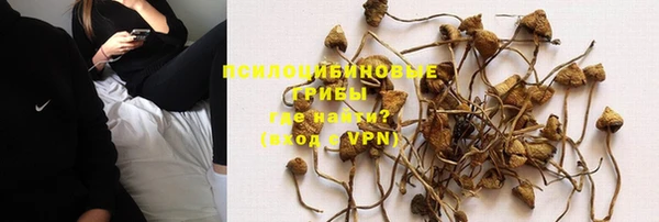 ПСИЛОЦИБИНОВЫЕ ГРИБЫ Белокуриха