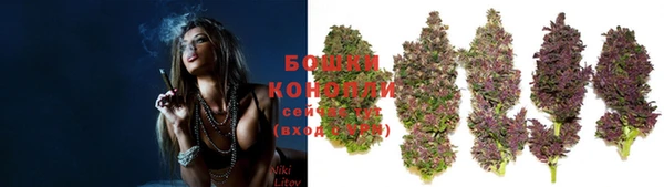 ПСИЛОЦИБИНОВЫЕ ГРИБЫ Белокуриха