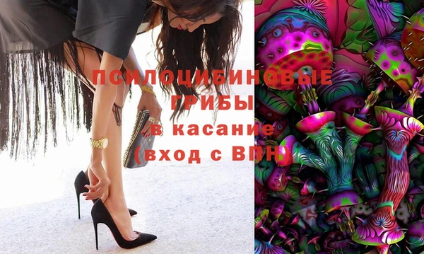 ПСИЛОЦИБИНОВЫЕ ГРИБЫ Белокуриха